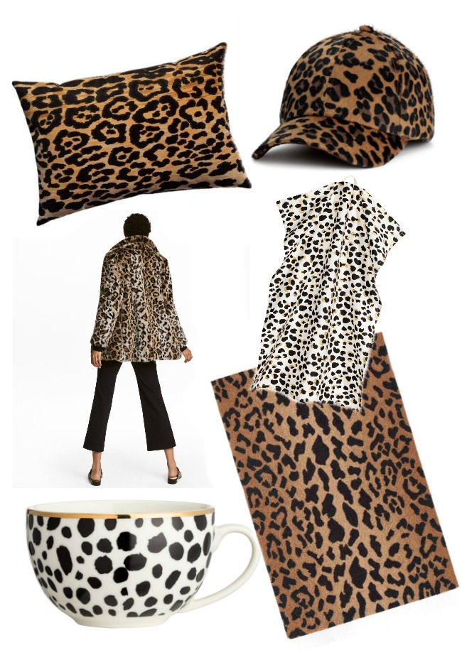 Leopard Rpiny Always a Classic – Leopard Print
